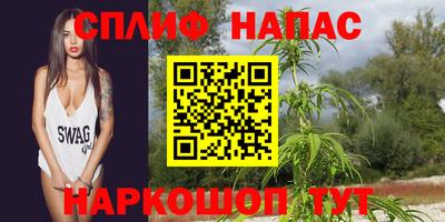 стафф Гусев